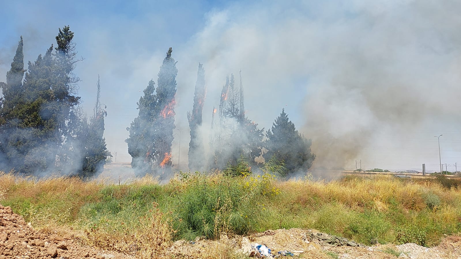 WhatsApp Image 2022-06-10 at 2.28.40 PM.jpeg